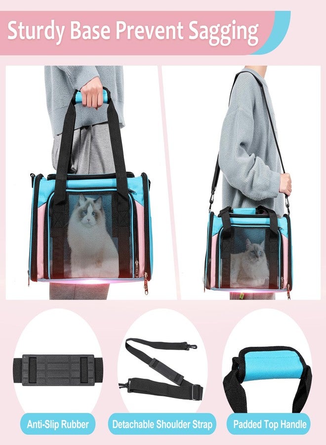 Discala Cat Dog Carrier Up to 15 Lbs TSA Airline Approved Pet Carrier for Small Medium Cats Puppies Dog Carriers for Small Dogs Collapsible Soft Sided Cat Travel Carrier - Blue&Pink 17"x11"x11" - Image 5